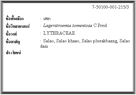 กล่องข้อความ: 7-50100-001-215/3 ชื่อพื้นเมือง : เสลา ชื่อวิทยาศาสตร์ : Lagerstroemia tomentosa C.Presl ชื่อวงศ์ : LYTHRACEAE ชื่อสามัญ : Salao, Salao khaao, Salao plueakbaang, Salao dam ประโยชน์